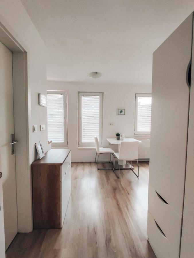 Studio Apartment Sanya Laibach Exterior foto